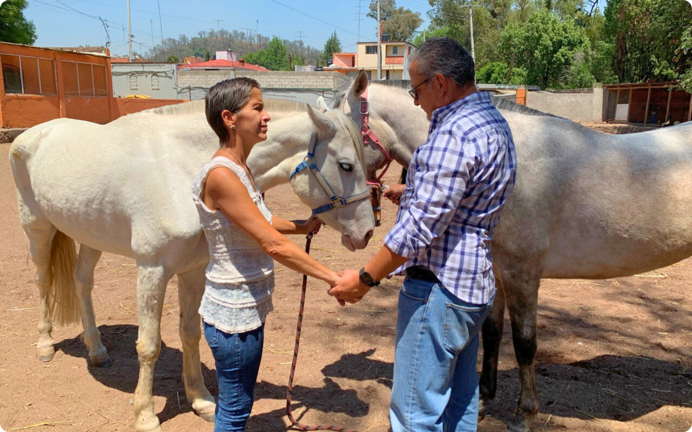 Lizbeth Baca y caballos Lizbeth Baca y caballos
