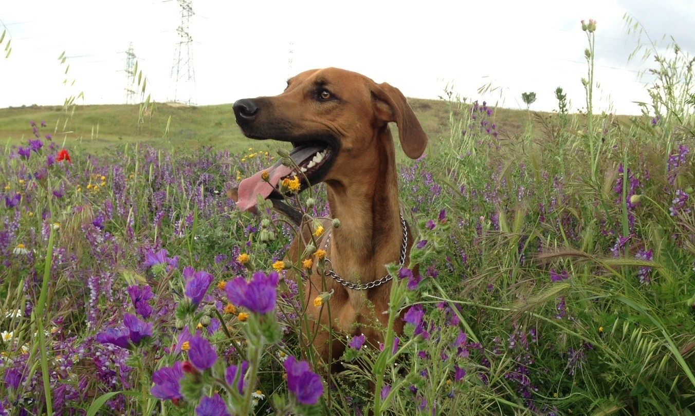CHOCOLATE- Lola Martín 21 Mayo, 2025 5